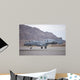 A-10 Thunderbolt Taxis to Wall Decal Design 4
