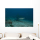 Large Bull Shark Bistro Murky Profile Wall Decal
