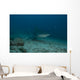 Large Bull Shark Bistro Murky Profile Wall Decal