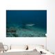 Large Bull Shark Bistro Murky Profile Wall Decal