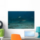 Large Bull Shark Bistro Murky Right Wall Decal