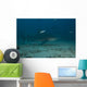 Large Bull Shark Bistro Murky Right Wall Decal