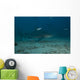 Large Bull Shark Bistro Murky Right Wall Decal