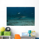 Large Bull Shark Bistro Murky Right Wall Decal