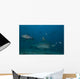 Large Bull Shark Bistro Murky Close Wall Decal