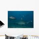 Large Bull Shark Bistro Murky Close Wall Decal