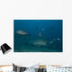 Large Bull Shark Bistro Murky Close Wall Decal