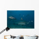 Large Bull Shark Bistro Murky Close Wall Decal