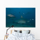 Large Bull Shark Bistro Murky Close Wall Decal
