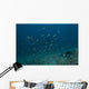 Large Bull Shark Bistro Murky Wall Decal