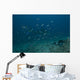 Large Bull Shark Bistro Murky Wall Decal