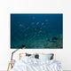 Large Bull Shark Bistro Murky Wall Decal