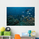 School Sergeant Major Fish Wall Decal