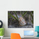 Gymnodoris Ceylonica Nudibranch Beqa Wall Decal