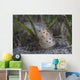 Gymnodoris Ceylonica Nudibranch Beqa Wall Decal