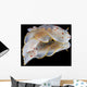 Gymnodoris Ceylonica Nudibranch Black Wall Decal