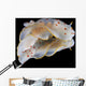 Gymnodoris Ceylonica Nudibranch Black Wall Decal