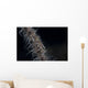 Whip Coral Goby Fiji Right Wall Decal