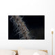 Whip Coral Goby Fiji Right Wall Decal
