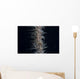 Whip Coral Goby Fiji Top Wall Decal