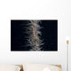 Whip Coral Goby Fiji Top Wall Decal