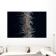 Whip Coral Goby Fiji Top Wall Decal