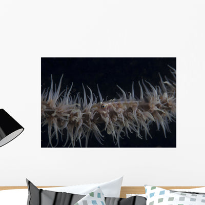 Whip Coral Goby Fiji Gray Wall Decal shown on a wall