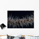 Whip Coral Goby Fiji Gray Wall Decal