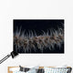 Whip Coral Goby Fiji Gray Wall Decal