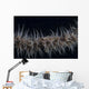 Whip Coral Goby Fiji Gray Wall Decal