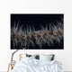 Whip Coral Goby Fiji Gray Wall Decal