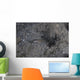 Shrimp Goby Stands Guard Wall Decal