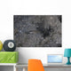 Shrimp Goby Stands Guard Wall Decal