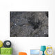 Shrimp Goby Stands Guard Wall Decal