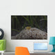 Popcorn Shrimp Anemone Fijian Yellow Front Wall Decal