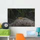 Popcorn Shrimp Anemone Fijian Yellow Front Wall Decal