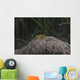 Popcorn Shrimp Anemone Fijian Yellow Front Wall Decal