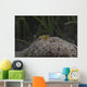 Popcorn Shrimp Anemone Fijian Yellow Front Wall Decal