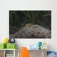 Popcorn Shrimp Anemone Fijian Yellow Front Wall Decal