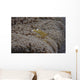Popcorn Shrimp Anemone Fijian Yellow Wall Decal
