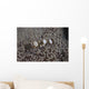 Popcorn Shrimp Anemone Fijian Top Wall Decal
