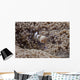 Popcorn Shrimp Anemone Fijian Front Wall Decal