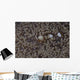 Popcorn Shrimp Anemone Fijian Wall Decal