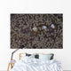 Popcorn Shrimp Anemone Fijian Wall Decal