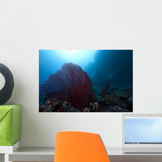 Large Red Gorgonian Sea Wide Shot Wall Decal
