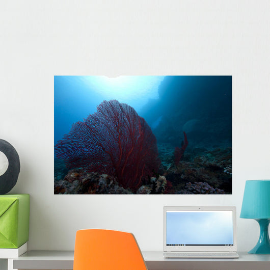 Large Red Gorgonian Sea Wide Shot Wall Decal