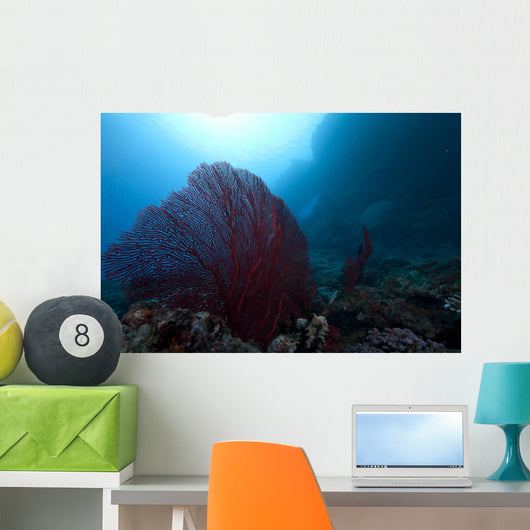 Large Red Gorgonian Sea Wide Shot Wall Decal