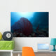 Large Red Gorgonian Sea Wide Shot Wall Decal