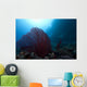 Large Red Gorgonian Sea Wide Shot Wall Decal