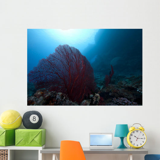 Large Red Gorgonian Sea Wide Shot Wall Decal